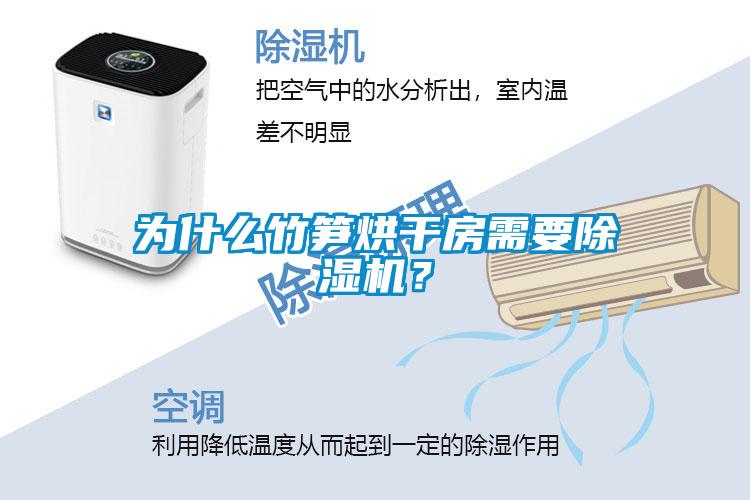 為什么竹筍烘干房需要除濕機？