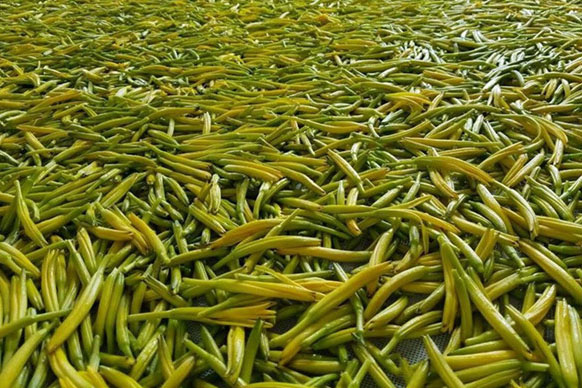 無硫金針菜烘干如何保持品相？不發(fā)黑？