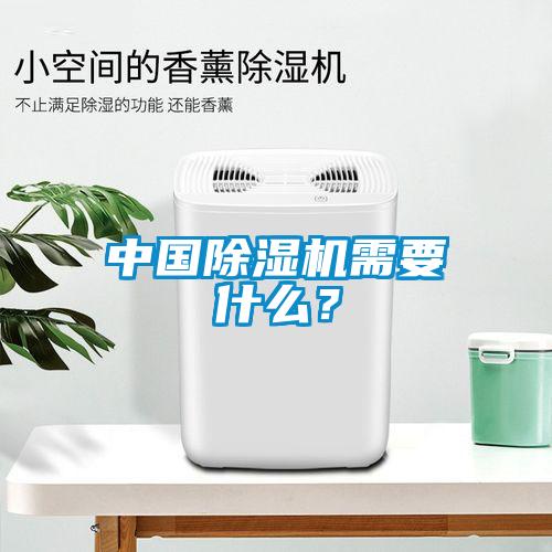 中國(guó)除濕機(jī)需要什么？