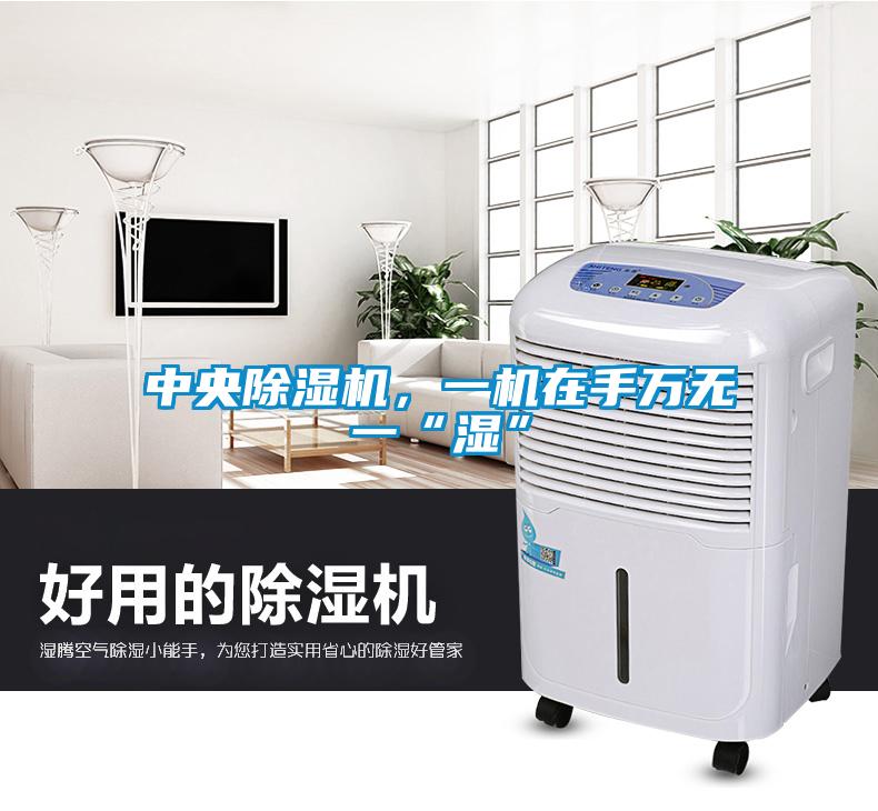 中央除濕機(jī)，一機(jī)在手萬無一“濕”