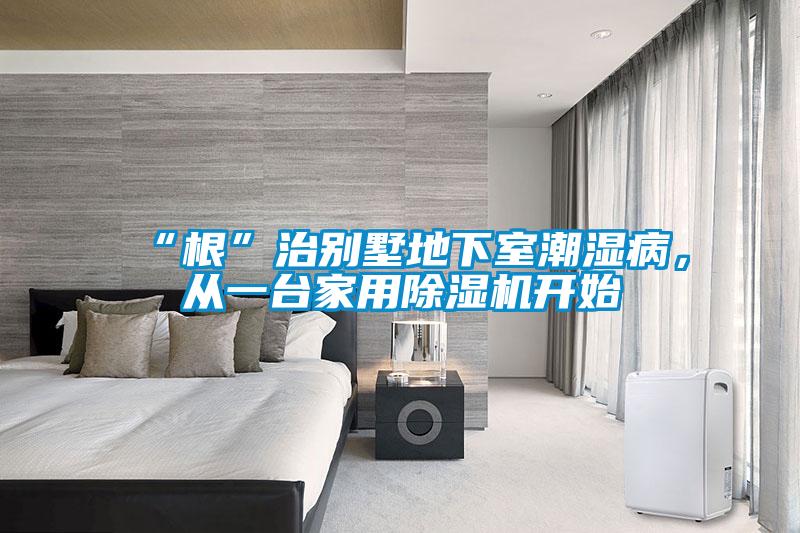 “根”治別墅地下室潮濕病，從一臺家用除濕機開始