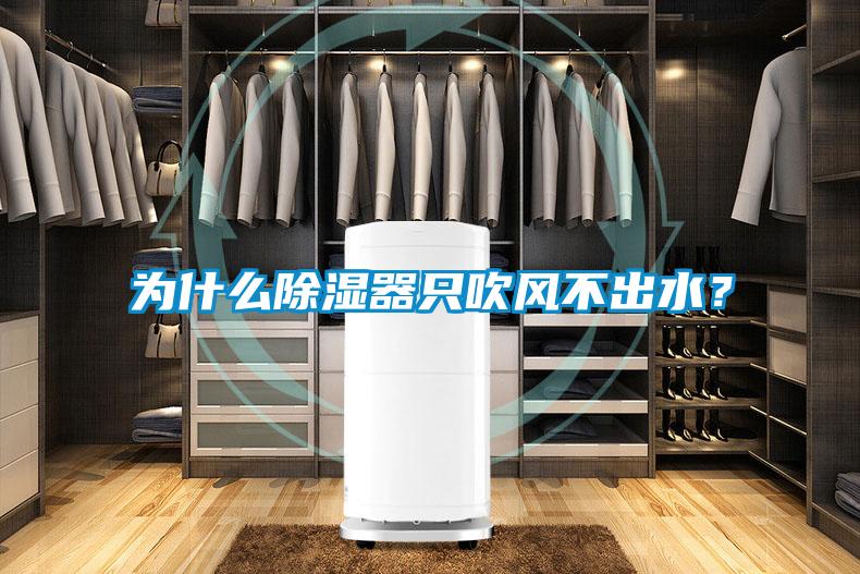 為什么除濕器只吹風(fēng)不出水？