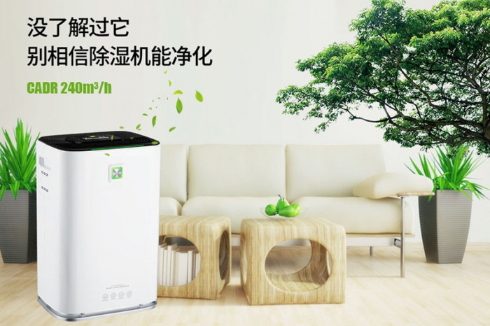 一到回南天狗狗就感冒+皮膚病，怎么辦？
