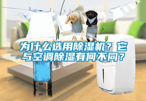 為什么選用除濕機(jī)？它與空調(diào)除濕有何不同？