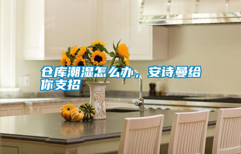 倉庫潮濕怎么辦，安詩曼給你支招