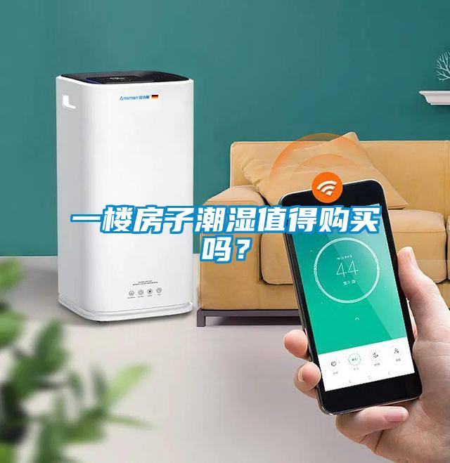 一樓房子潮濕值得購買嗎？