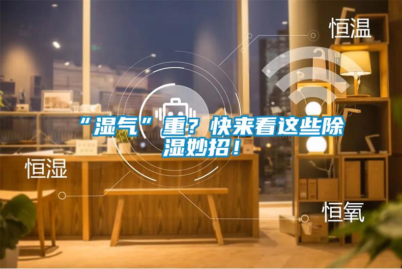 “濕氣”重？快來看這些除濕妙招！