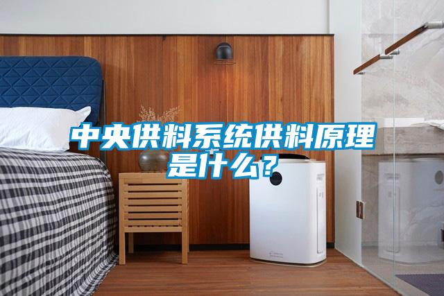 中央供料系統(tǒng)供料原理是什么？