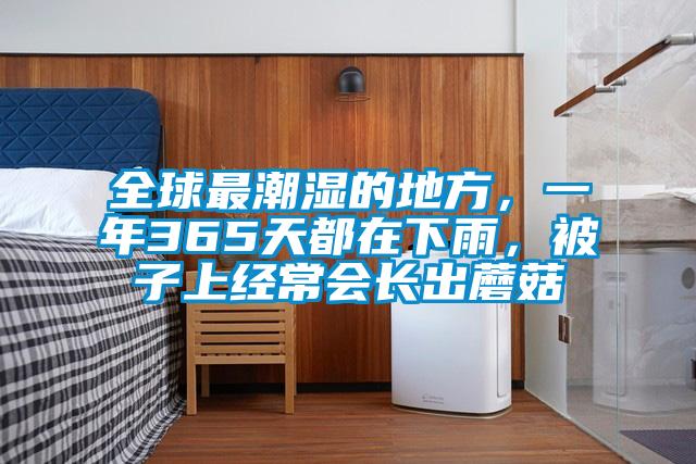 全球最潮濕的地方，一年365天都在下雨，被子上經(jīng)常會(huì)長(zhǎng)出蘑菇