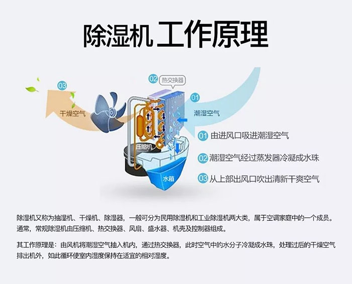 南方梅雨季到了房屋墻壁滲水、返潮怎么辦？