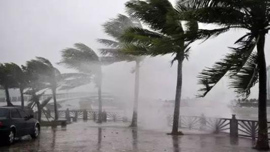8月臺風雨即將來，除濕機還得用起來