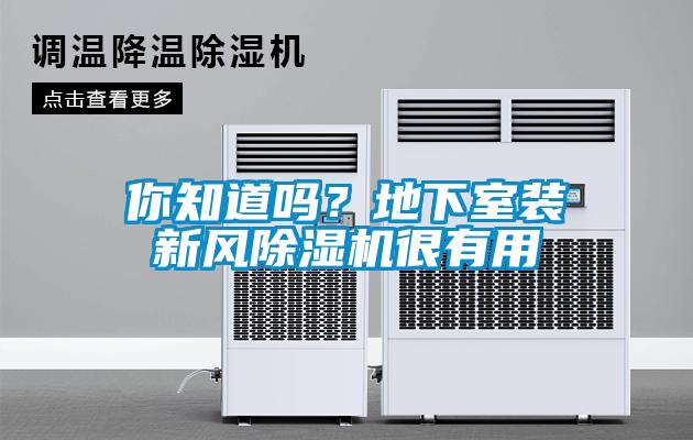 你知道嗎？地下室裝新風(fēng)除濕機(jī)很有用