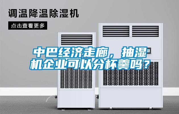 中巴經(jīng)濟(jì)走廊，抽濕機(jī)企業(yè)可以分杯羹嗎？