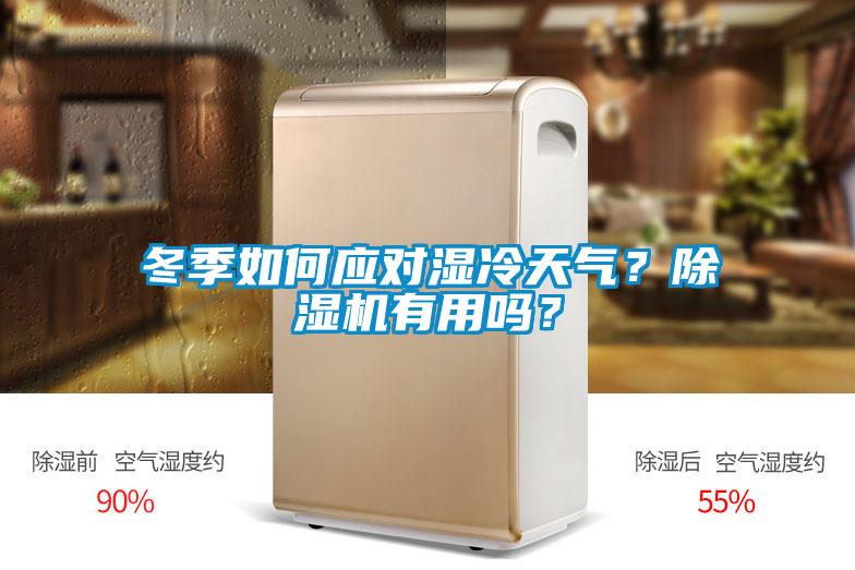 冬季如何應(yīng)對(duì)濕冷天氣？除濕機(jī)有用嗎？
