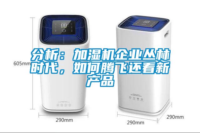 分析：加濕機(jī)企業(yè)叢林時(shí)代，如何騰飛還看新產(chǎn)品