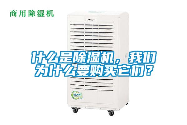 什么是除濕機(jī)，我們?yōu)槭裁匆?gòu)買它們？