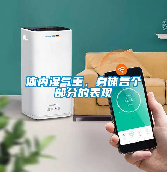 體內(nèi)濕氣重，身體各個部分的表現(xiàn)