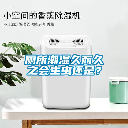 廁所潮濕久而久之會生蟲還是？