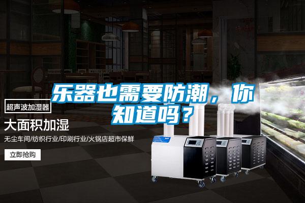 樂器也需要防潮，你知道嗎？