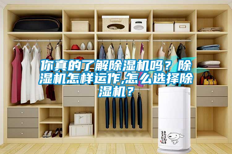 你真的了解除濕機(jī)嗎？除濕機(jī)怎樣運(yùn)作,怎么選擇除濕機(jī)？
