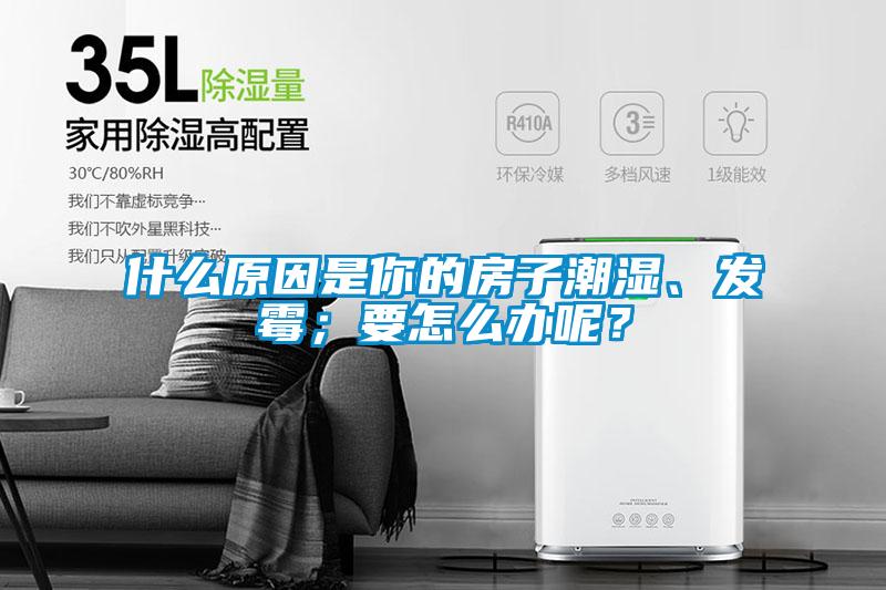 什么原因是你的房子潮濕、發(fā)霉；要怎么辦呢？