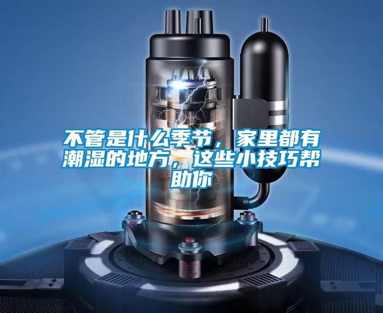 不管是什么季節(jié)，家里都有潮濕的地方，這些小技巧幫助你