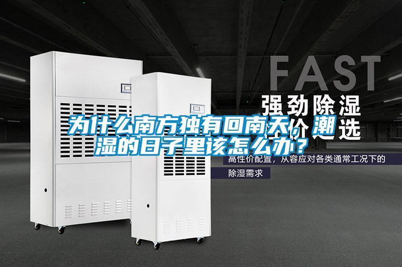為什么南方獨(dú)有回南天，潮濕的日子里該怎么辦？