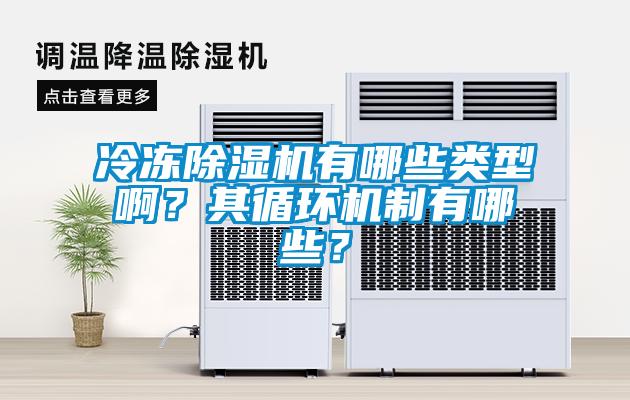 冷凍除濕機有哪些類型啊？其循環(huán)機制有哪些？