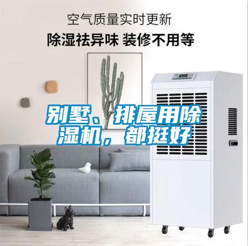 別墅、排屋用除濕機(jī)，都挺好