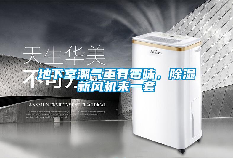 地下室潮氣重有霉味，除濕新風機來一套