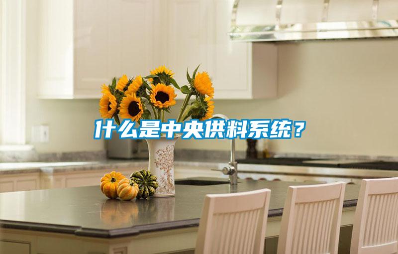 什么是中央供料系統(tǒng)？
