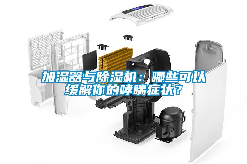 加濕器與除濕機(jī)：哪些可以緩解你的哮喘癥狀？