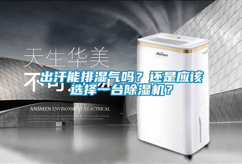 出汗能排濕氣嗎？還是應該選擇一臺除濕機？
