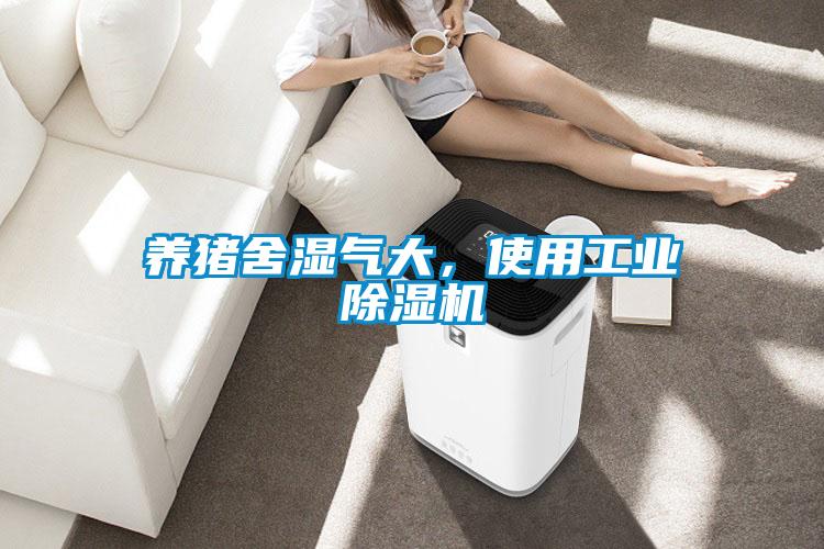 養(yǎng)豬舍濕氣大，使用工業(yè)除濕機(jī)