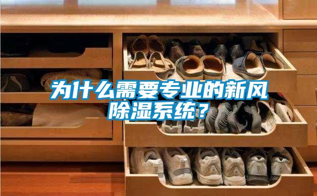 為什么需要專業(yè)的新風除濕系統？