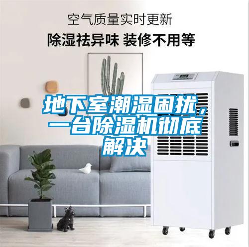地下室潮濕困擾，一臺(tái)除濕機(jī)徹底解決