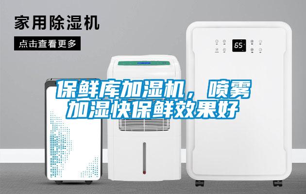 保鮮庫(kù)加濕機(jī)，噴霧加濕快保鮮效果好