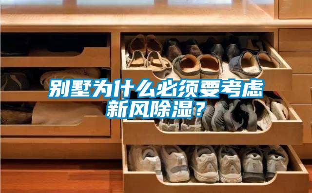 別墅為什么必須要考慮新風(fēng)除濕？