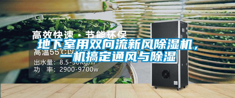 地下室用雙向流新風除濕機，一機搞定通風與除濕