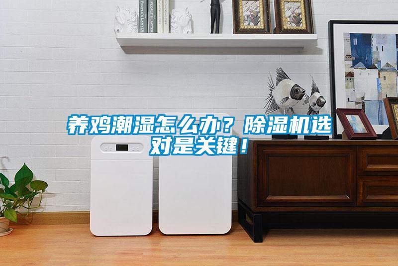 養(yǎng)雞潮濕怎么辦？除濕機(jī)選對(duì)是關(guān)鍵！