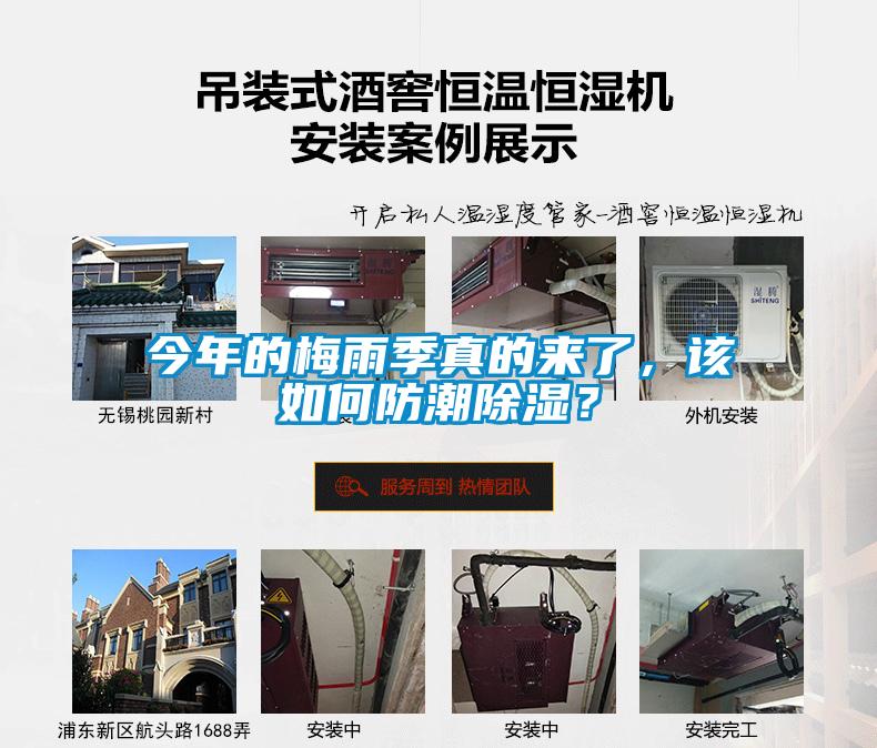今年的梅雨季真的來了，該如何防潮除濕？