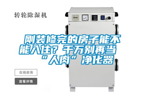 剛裝修完的房子能不能入??？千萬別再當“人肉”凈化器