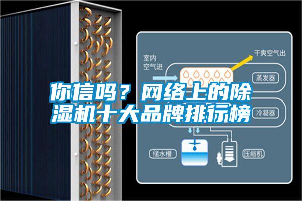 你信嗎？網(wǎng)絡(luò)上的除濕機(jī)十大品牌排行榜