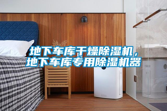 地下車庫干燥除濕機，地下車庫專用除濕機器