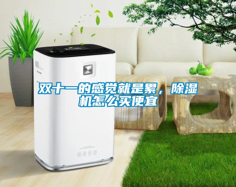 雙十一的感覺(jué)就是累，除濕機(jī)怎么買(mǎi)便宜