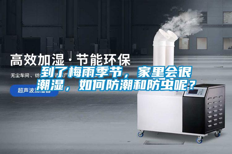 到了梅雨季節(jié)，家里會很潮濕，如何防潮和防蟲呢？