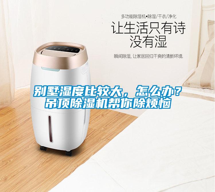 別墅濕度比較大，怎么辦？吊頂除濕機(jī)幫你除煩惱