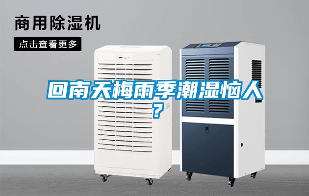 回南天梅雨季潮濕惱人？