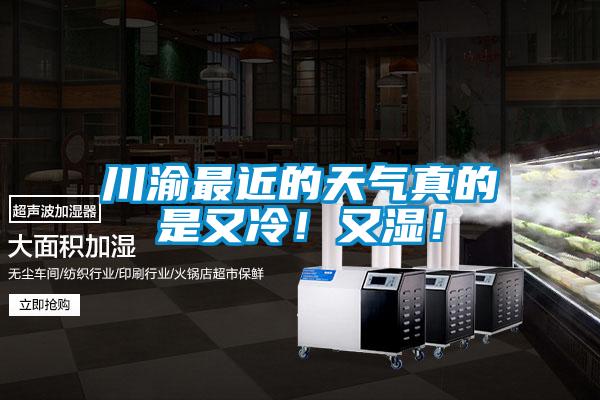 川渝最近的天氣真的是又冷！又濕！