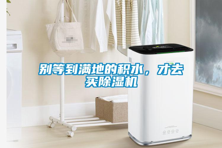 別等到滿地的積水，才去買除濕機